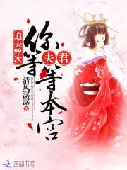 追夫99次：夫君，你等等本宫！封面