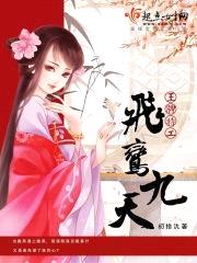 王牌特工：飞鸢九天封面