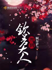 钦差大人驾到封面