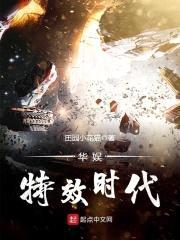 华娱特效时代封面