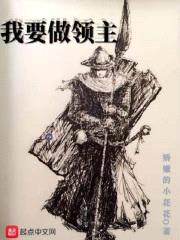 我要做领主封面