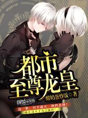都市至尊龙皇封面