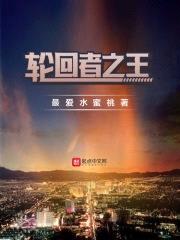 轮回者之王封面