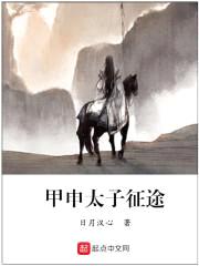 甲申太子征途封面