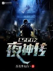 CSGO之夜神传封面