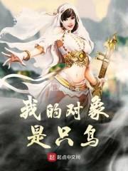 我的对象是只鸟封面