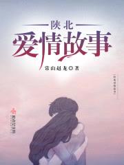 陕北爱情故事封面