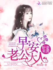 娇妻来袭：早安，老公大人！封面