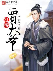 红楼贾大爷封面