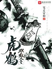 虎鹤双杀令封面