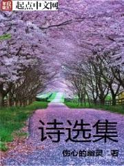 诗选集封面