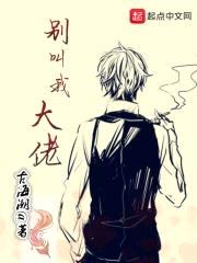 别叫我大佬封面