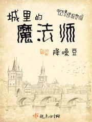 城里的魔法师封面