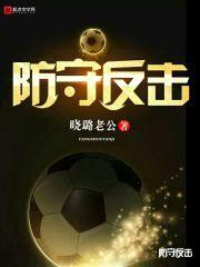 防守反击封面
