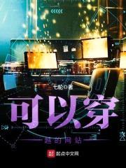 可以穿越的网站封面