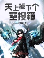 天上掉下个空投箱封面