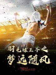 羽毛球王子之梦远随风封面