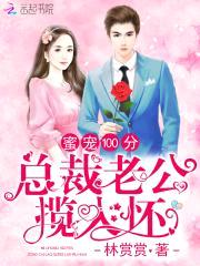 蜜宠100分：总裁老公揽入怀封面