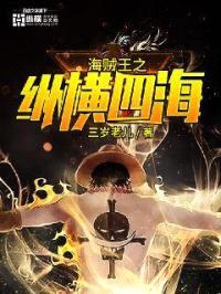 海贼王之纵横四海封面