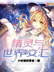 精灵与世界的交汇封面