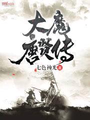 大魔唐贤传封面