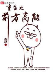 重生之前方高能封面