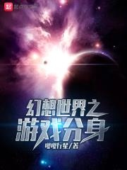 幻想世界之游戏分身封面