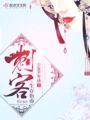 刺客生存指南封面