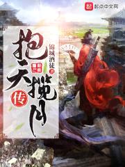 抱天揽月传封面