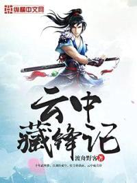 云中藏锋记封面