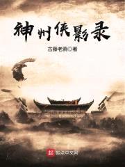 神州侠影录封面