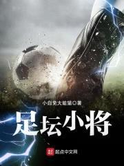 足坛小将封面