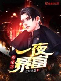 重生之财运巅峰封面