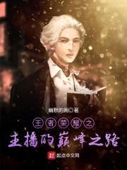 王者荣耀之主播的巅峰之路封面