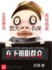 在下朝阳群众封面