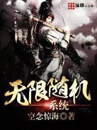 无限随机系统封面