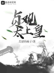 贞观太上皇封面