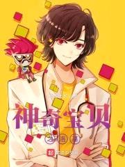 神奇宝贝之洛基封面