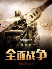 王者荣耀之全面战争封面