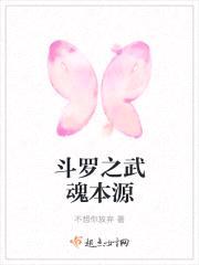 斗罗之武魂本源封面