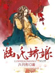 陆氏娇娘封面