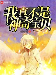 我真不是精灵封面