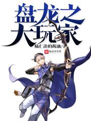 盘龙之大玩家封面