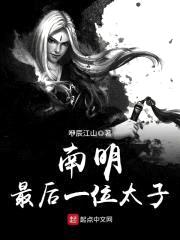 南明最后一位太子封面