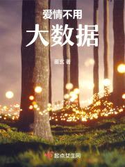 爱情不用大数据封面