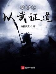 西游之以武证道封面