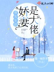 谢谢帝先生封面