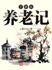 丁老头养老记封面