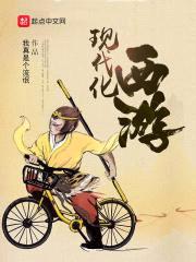 现代化西游封面