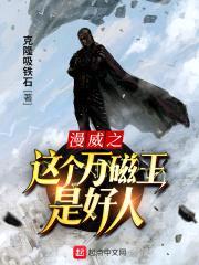 漫威之这个万磁王是好人封面
